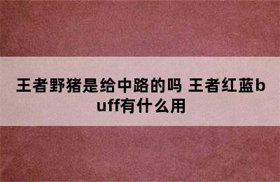 王者野猪是给中路的吗 王者红蓝buff有什么用